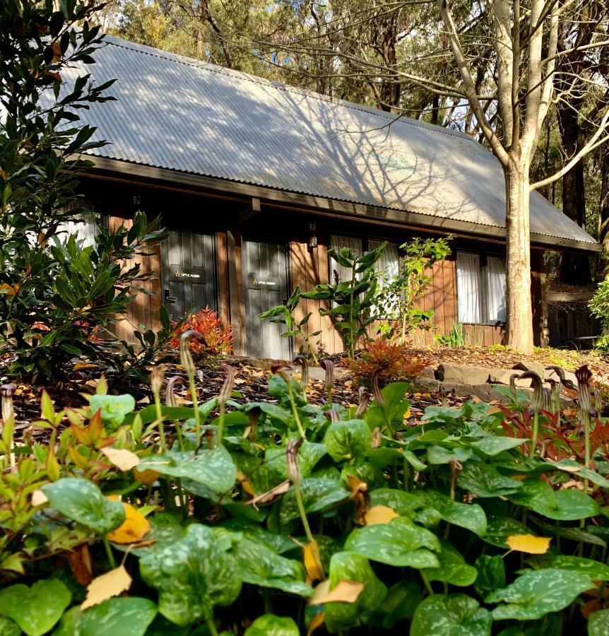 Emerald Star Cottages Экстерьер фото